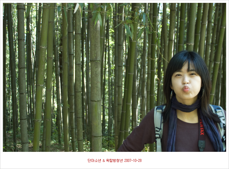 사용자 삽입 이미지