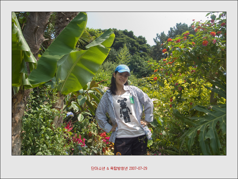 사용자 삽입 이미지